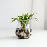 Wholesale Glass Vase HP-043 - Image 6